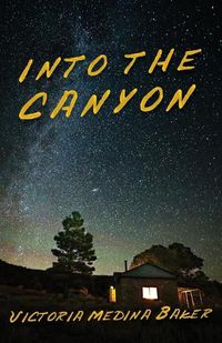 Cover image for Into the Canyon