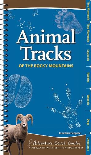 Cover image for Animal Tracks of the Rocky Mountains: Your Way to Easily Identify Animal Tracks