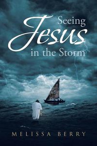 Cover image for Seeing Jesus in the Storm