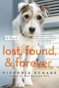 Cover image for Lost, Found, And Forever: A Novel