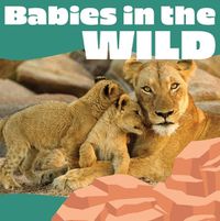 Cover image for Babies in the Wild