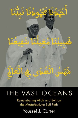 Cover image for The Vast Oceans