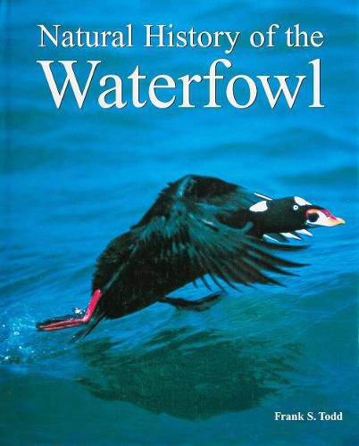 Cover image for Natural History of the Waterfowl