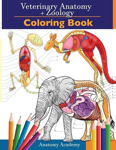 Cover image for Veterinary & Zoology Coloring Book: 2-in-1 Compilation Incredibly Detailed Self-Test Animal Anatomy Color workbook Perfect Gift for Vet Students and Animal Lovers