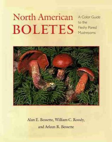 North American Boletes: A Color Guide To the Fleshy Pored Mushrooms