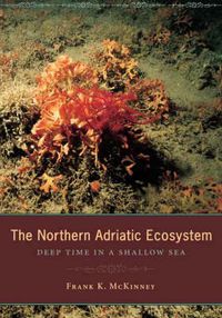 Cover image for The Northern Adriatic Ecosystem: Deep Time in a Shallow Sea