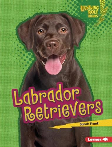 Cover image for Labrador Retrievers