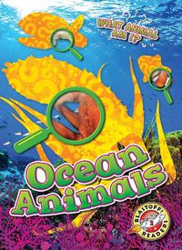 Cover image for Ocean Animals