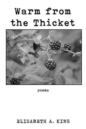 Cover image for Warm from the Thicket: Poems