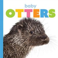 Cover image for Baby Otters