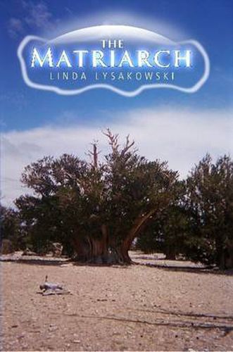 Cover image for The Matriarch