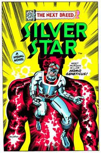 Cover image for Silver Star