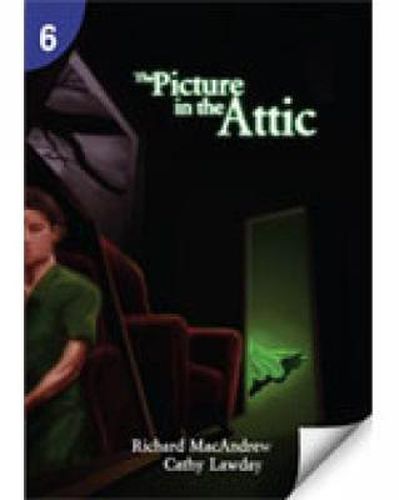 Cover image for The Picture in the Attic: Page Turners 6