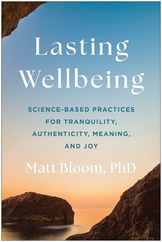 Cover image for Lasting Wellbeing