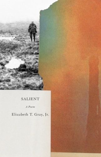 Cover image for Salient