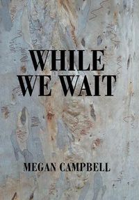 Cover image for While We Wait