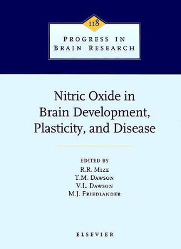 Cover image for Nitric Oxide in Brain Development, Plasticity, and Disease