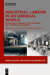 Cover image for Industrial Labour in an Unequal World