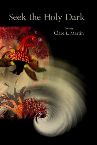 Cover image for Seek the Holy Dark