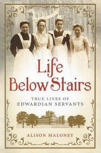 Cover image for Life Below Stairs