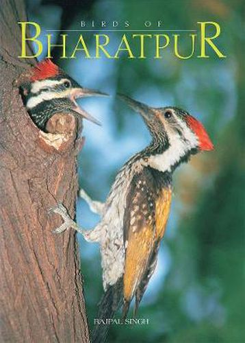 Cover image for Birds of Bharatpur