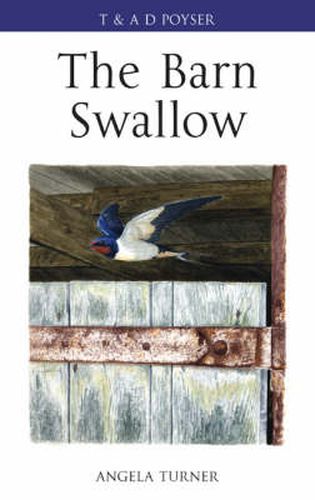 Cover image for The Barn Swallow