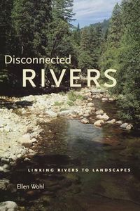 Cover image for Disconnected Rivers: Linking Rivers to Landscapes