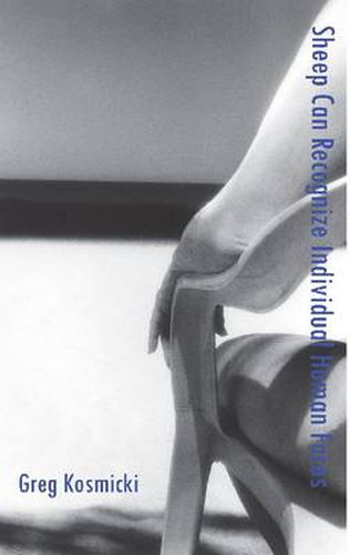 Cover image for Sheep Can Recognize Individual Human Faces