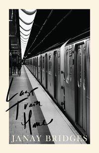 Cover image for Last Train Home