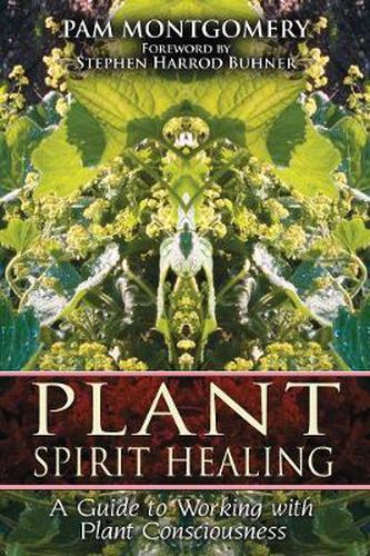 Cover image for Plant Spirit Healing: A Guide to Working with Plant Consciousness