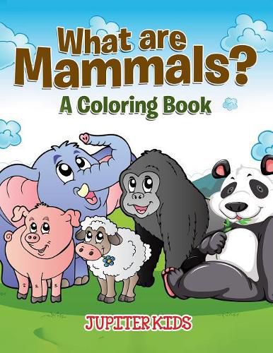 Cover image for What are Mammals? (A Coloring Book)