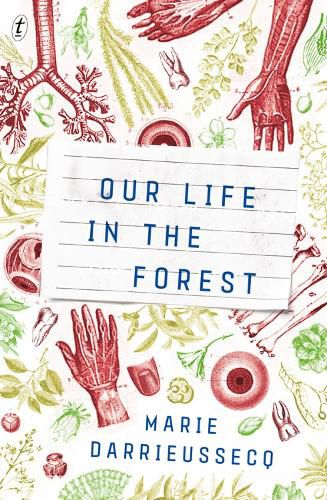 Our Life in the Forest