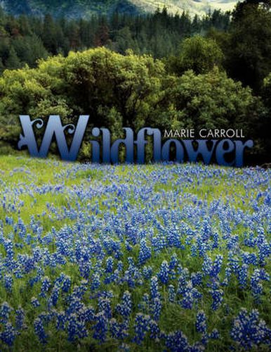 Cover image for Wildflower