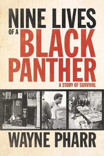 Cover image for Nine Lives of a Black Panther: A Story of Survival