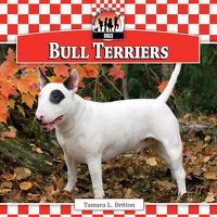 Cover image for Bull Terriers