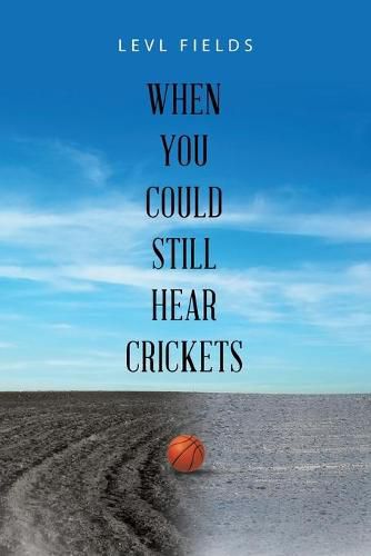 Cover image for When You Could Still Hear Crickets