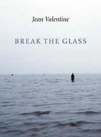 Cover image for Break the Glass