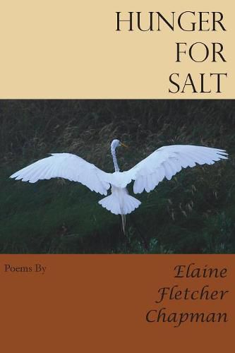 Cover image for Hunger for Salt