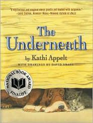 Cover image for The Underneath