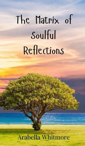 Cover image for The Matrix of Soulful Reflections