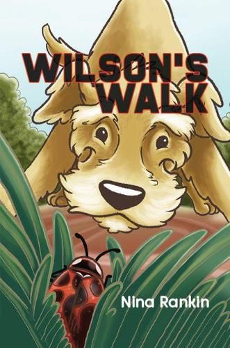 Cover image for Wilson's Walk