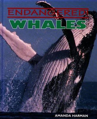 Cover image for Whales