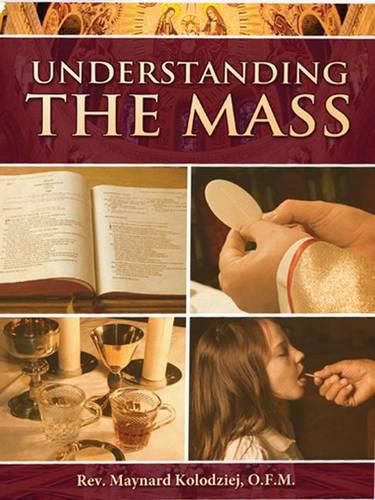 Cover image for Understanding the Mass