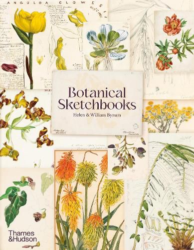 Botanical Sketchbooks