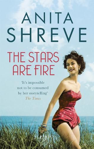 Cover image for The Stars are Fire