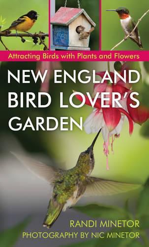 New England Bird Lover's Garden: Attracting Birds with Plants and Flowers