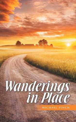 Cover image for Wanderings in Place