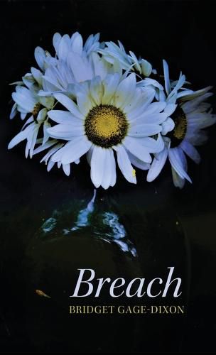 Cover image for Breach