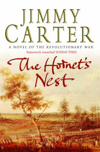 Cover image for The Hornet's Nest