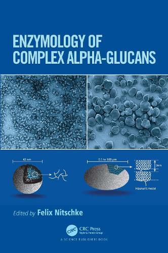 Cover image for Enzymology of Complex Alpha-Glucans